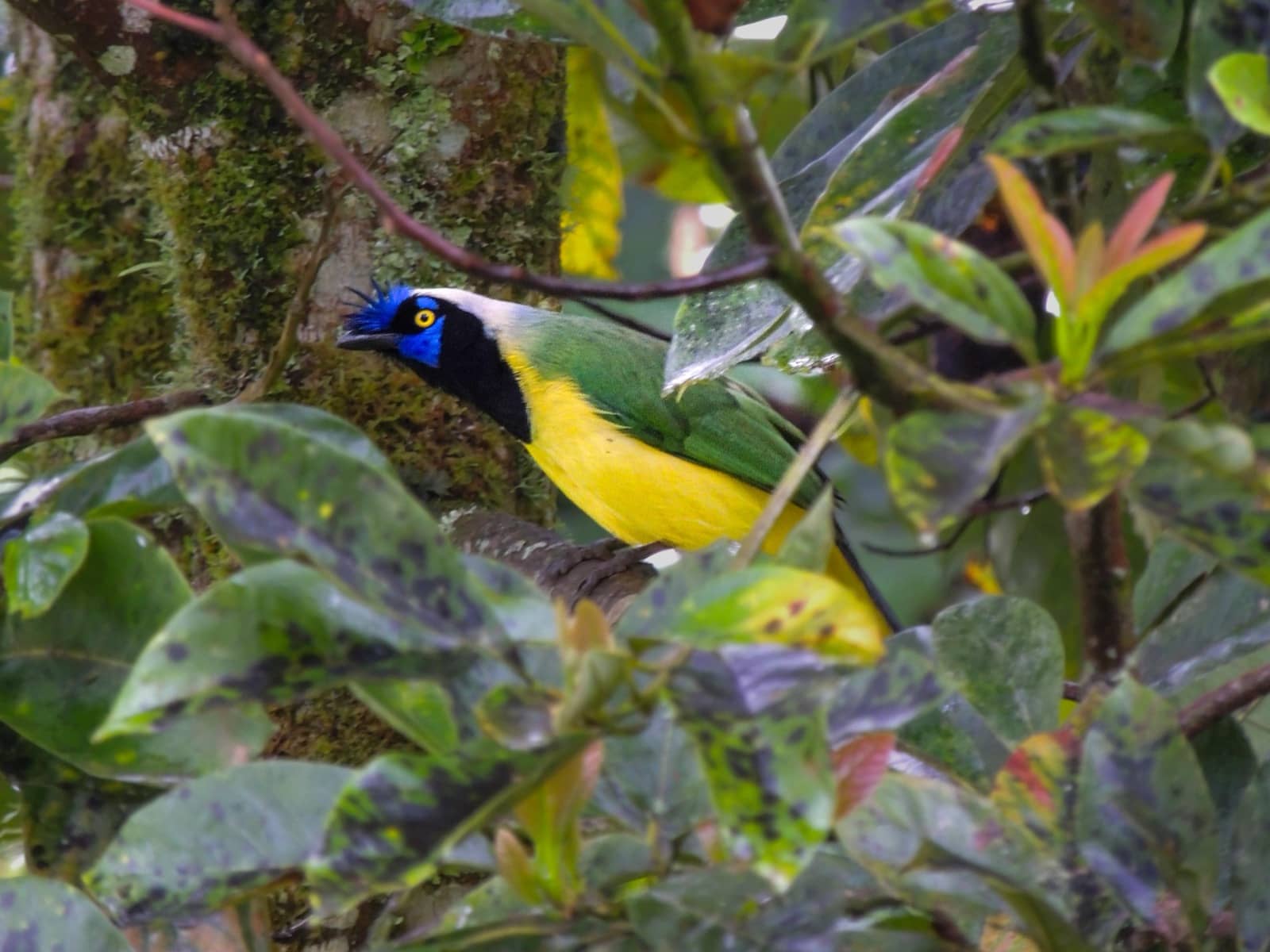 The Garden of the Senses — photo 5