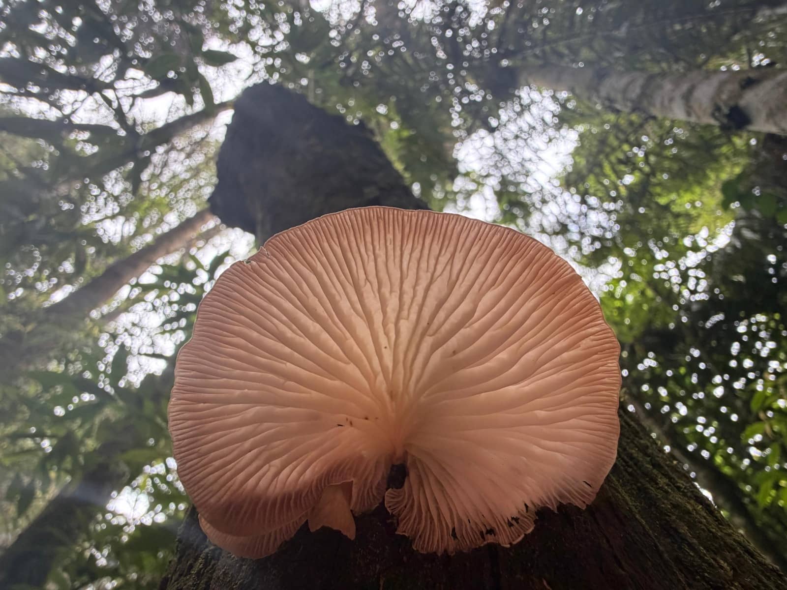 The Garden of the Senses — photo