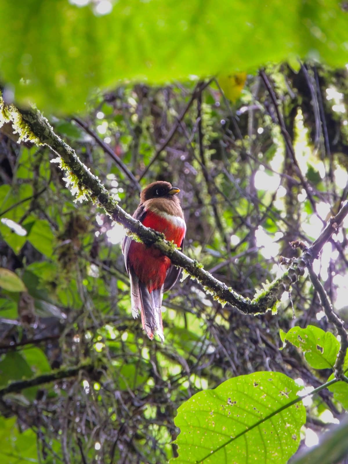 The Garden of the Senses — photo