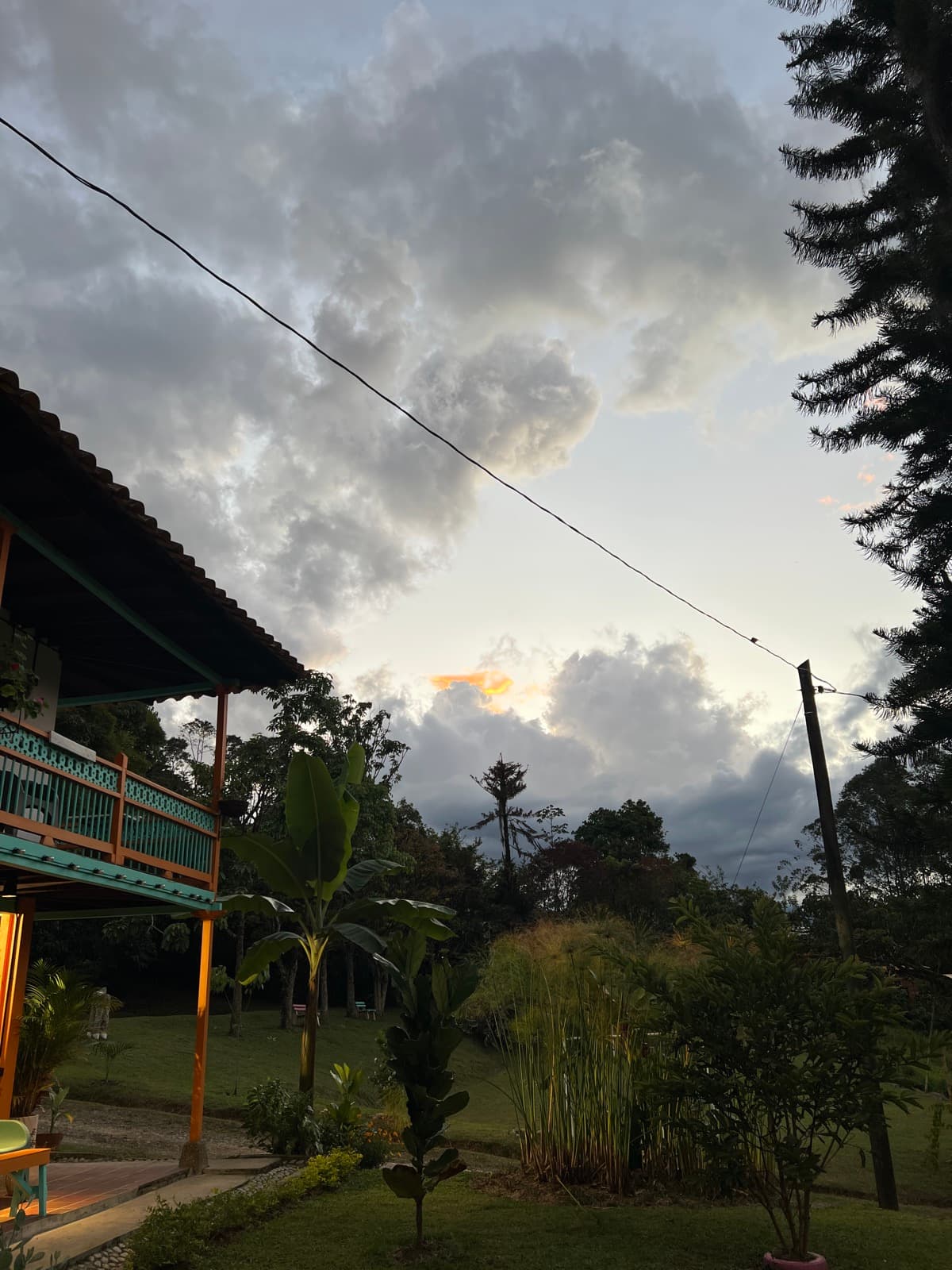 Nature at The Brave Heart of Women