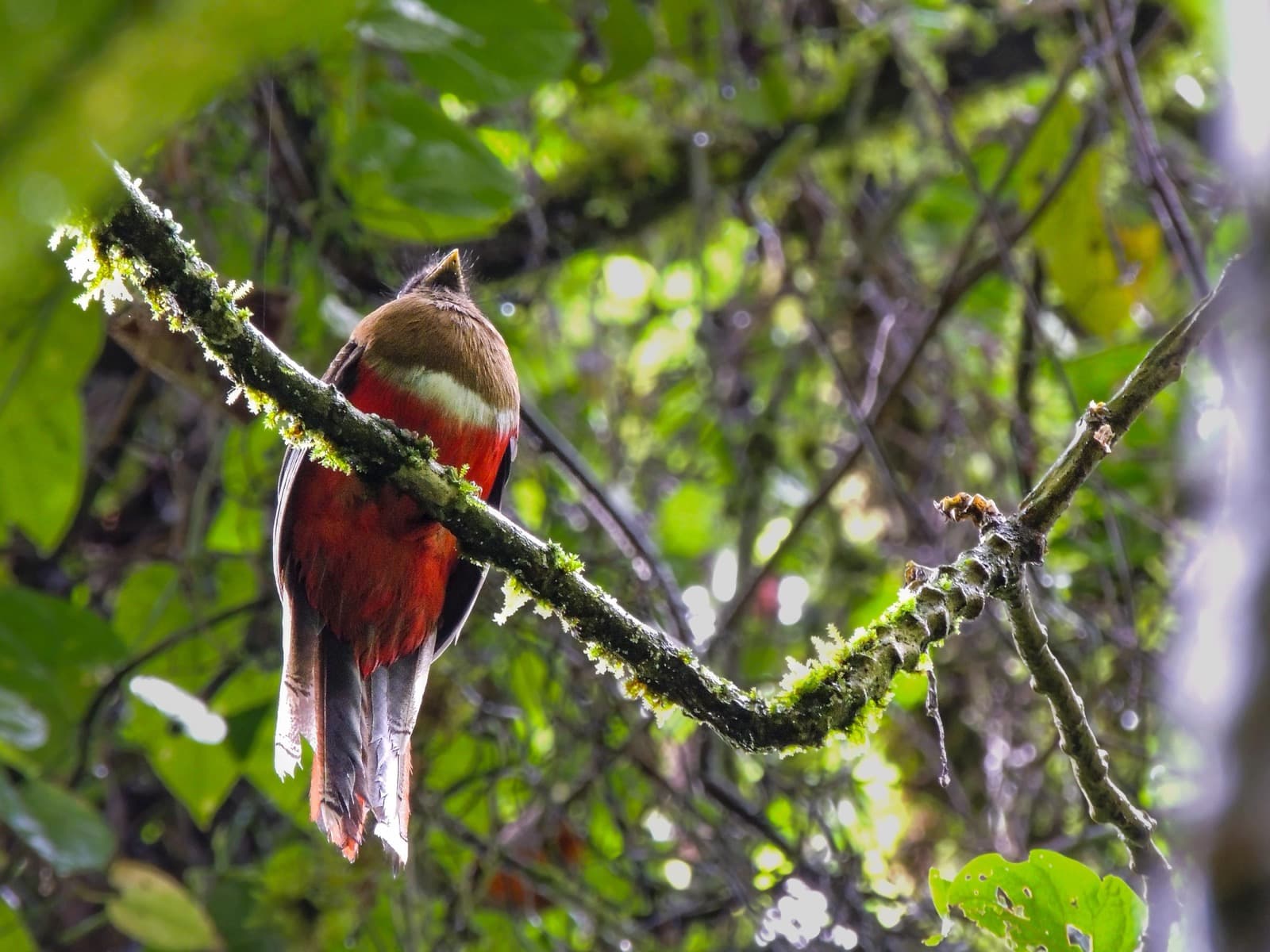 The Garden of the Senses