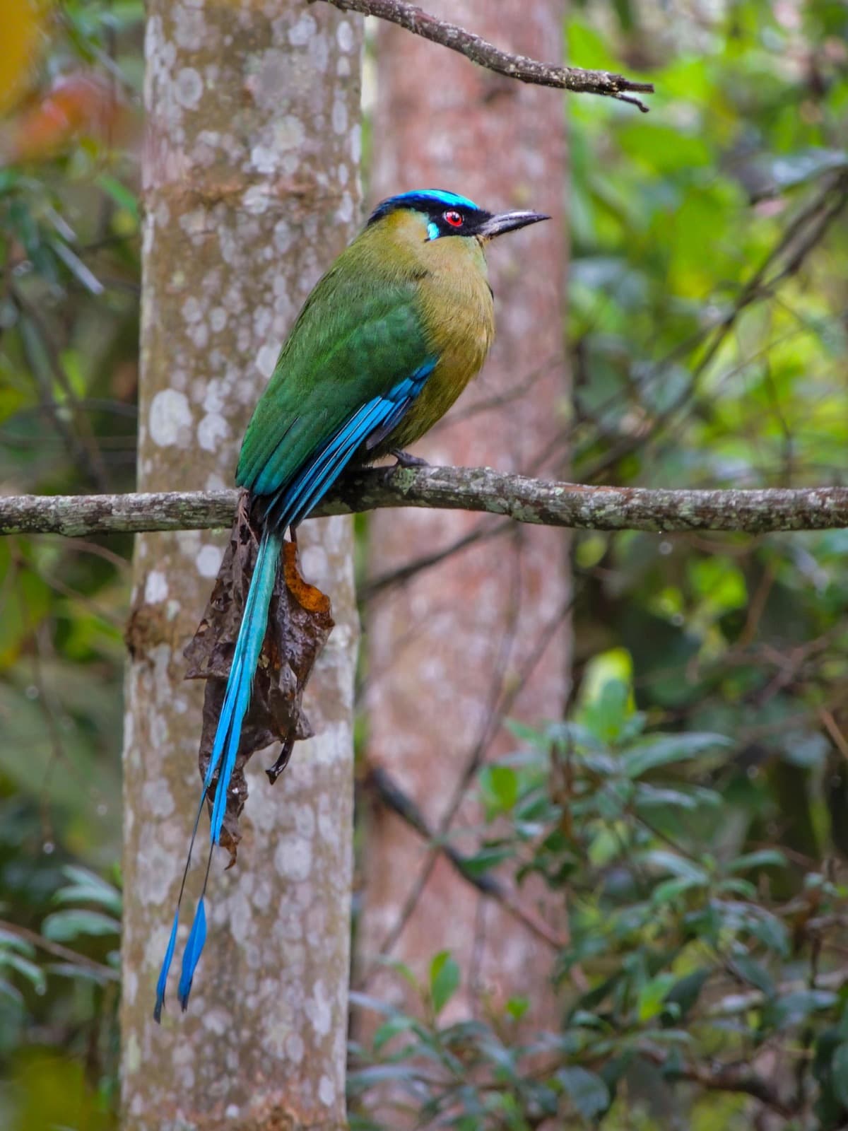 Nature at The Garden of the Senses